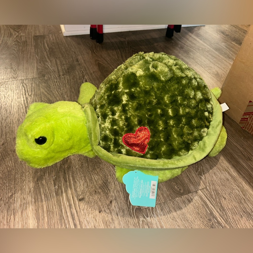 Green Plush Turtle Toy